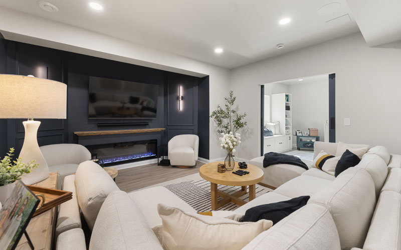 Basement Family Room Renovations